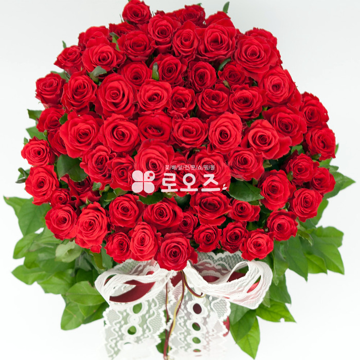 상세이미지
