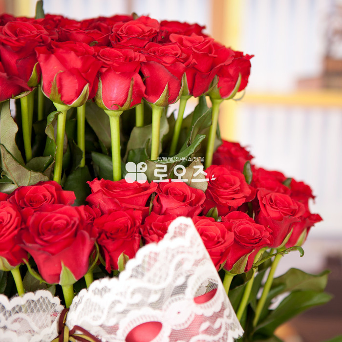 상세이미지