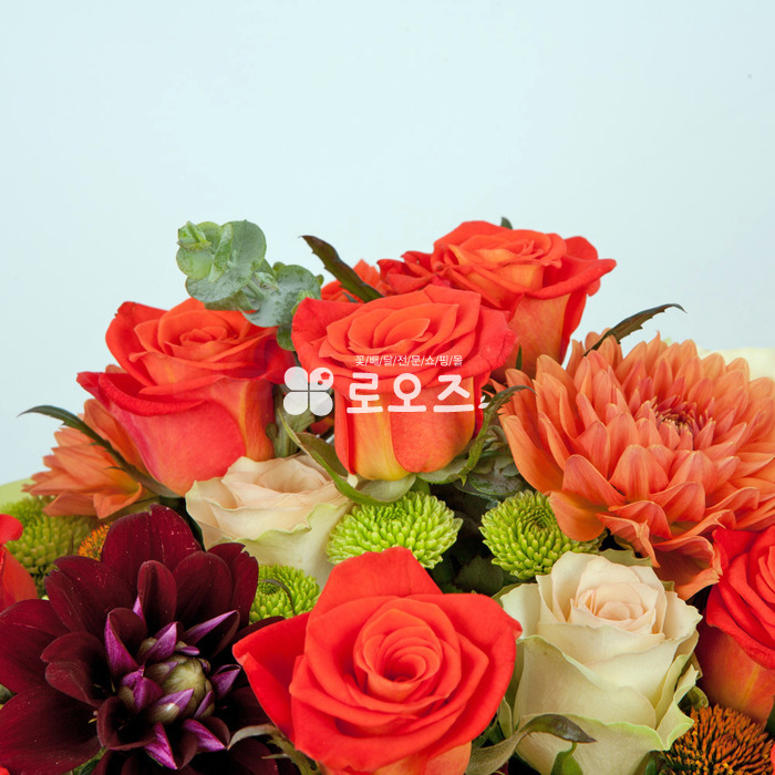 상세이미지