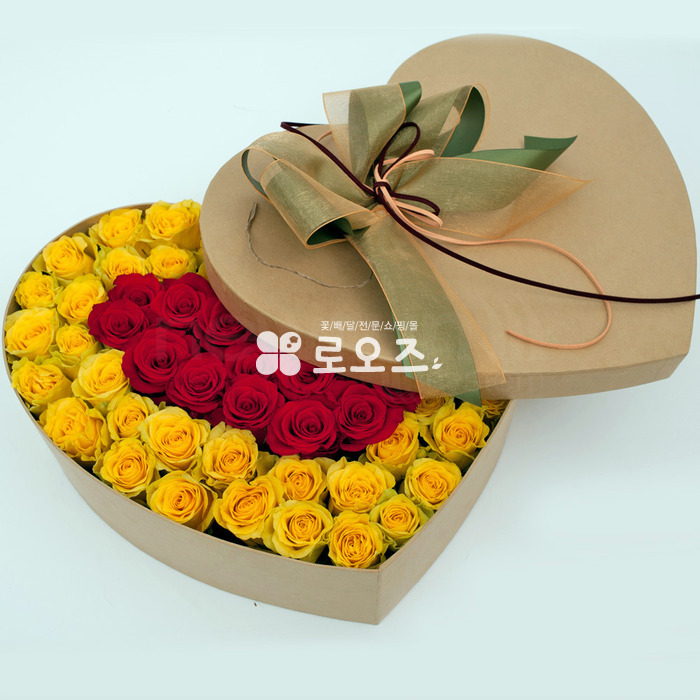 상세이미지
