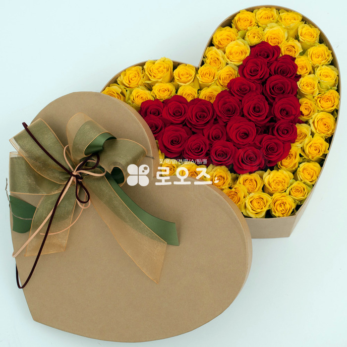 상세이미지
