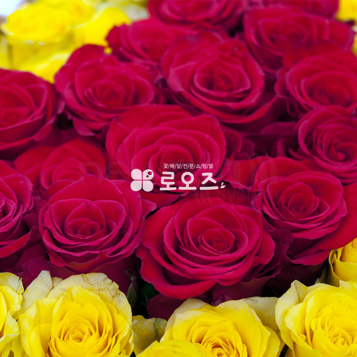 상세이미지