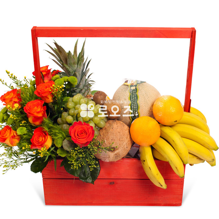 상세이미지