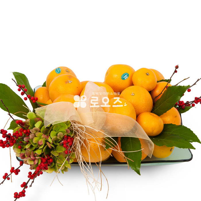 상세이미지