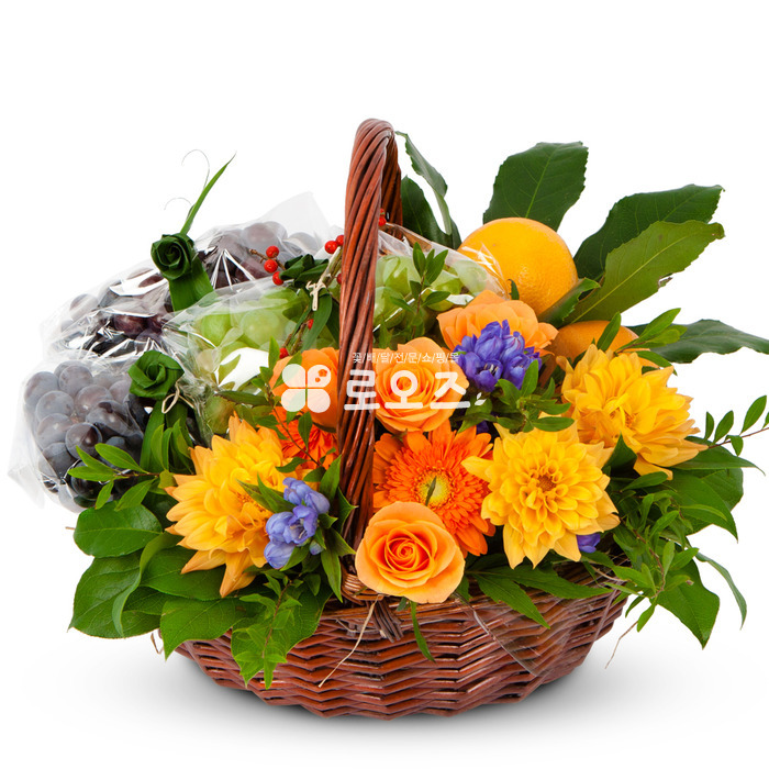 상세이미지