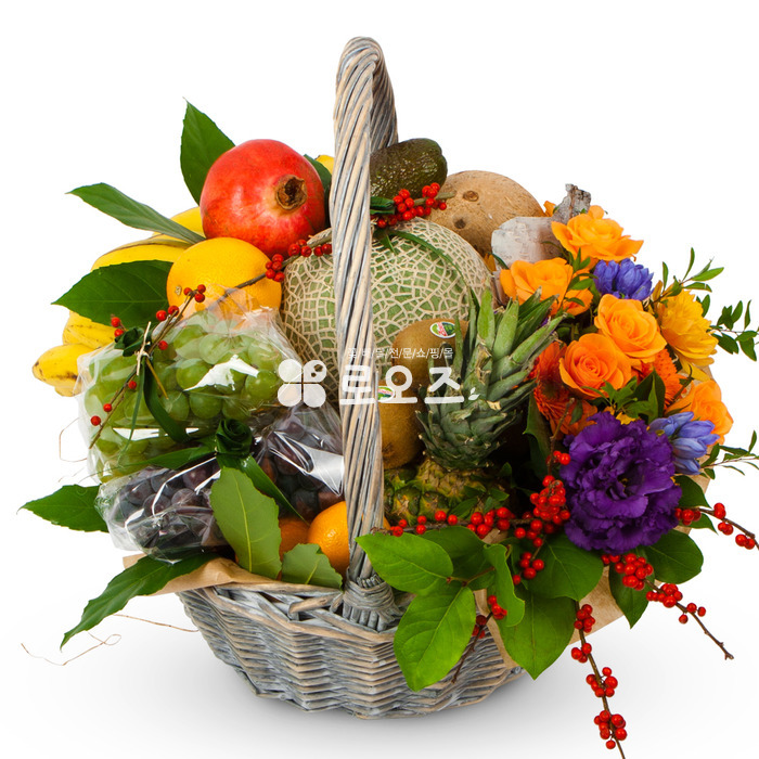 상세이미지