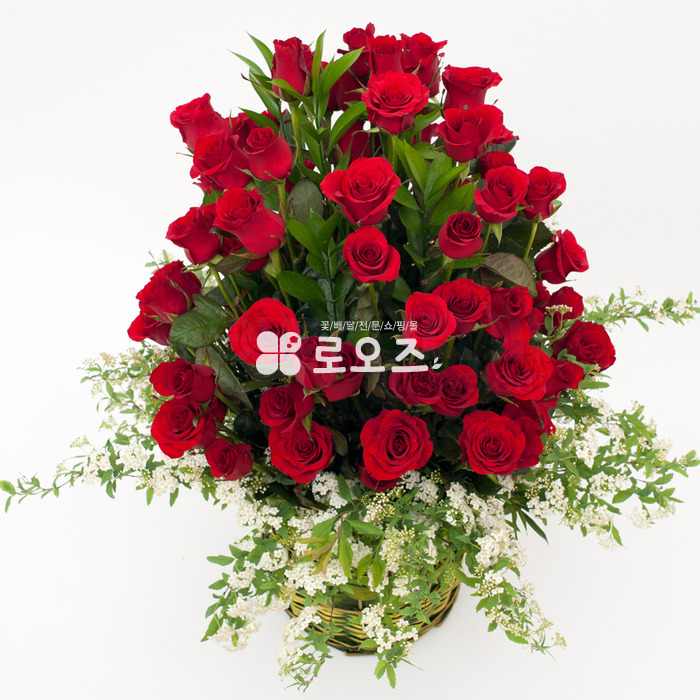 상세이미지