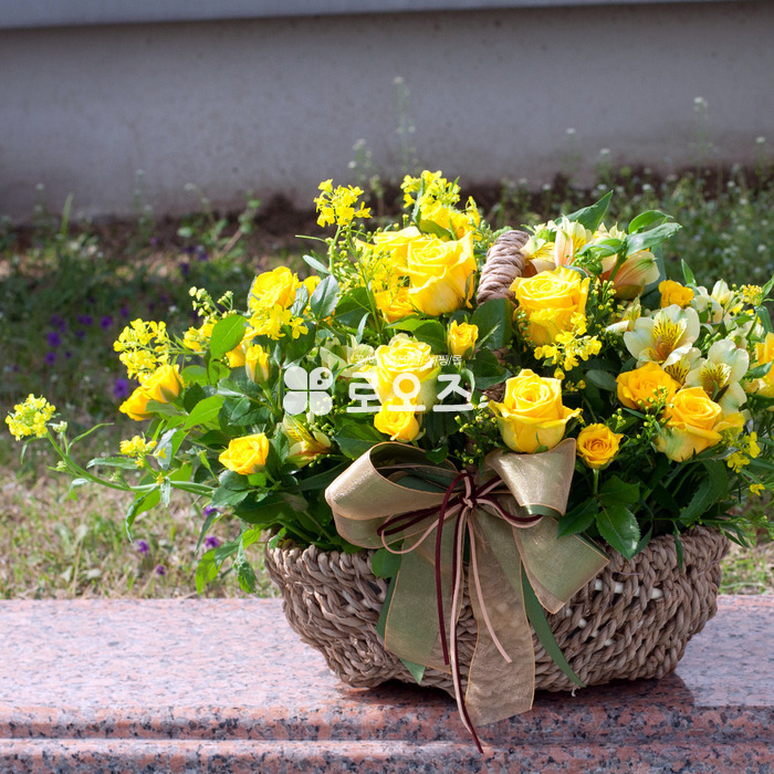 상세이미지