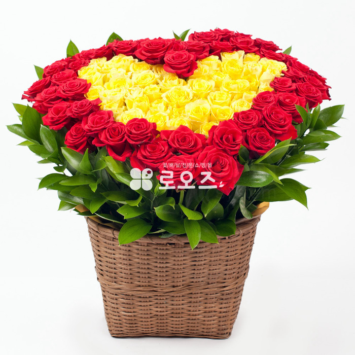 상세이미지