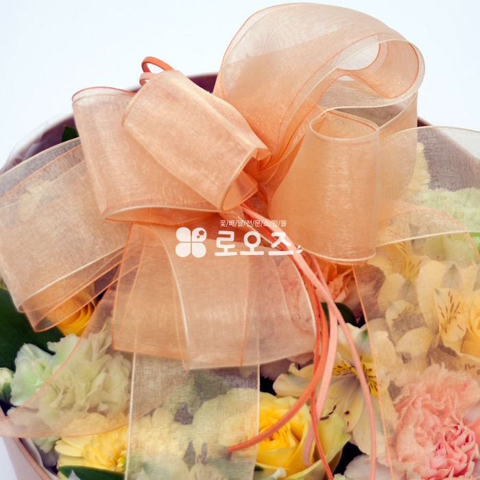상세이미지