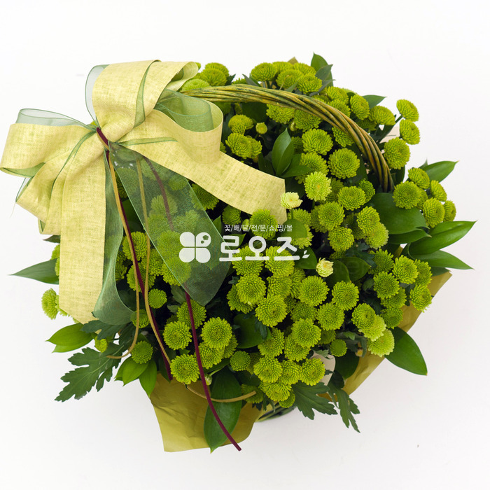 상세이미지