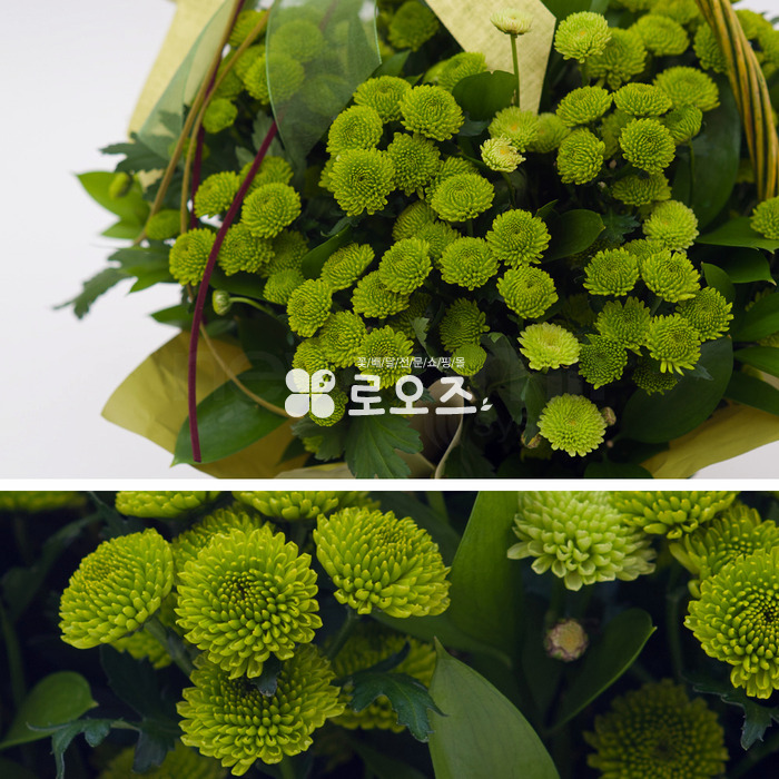 상세이미지