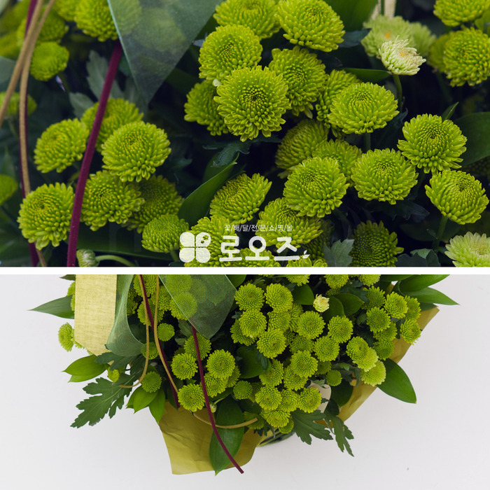상세이미지