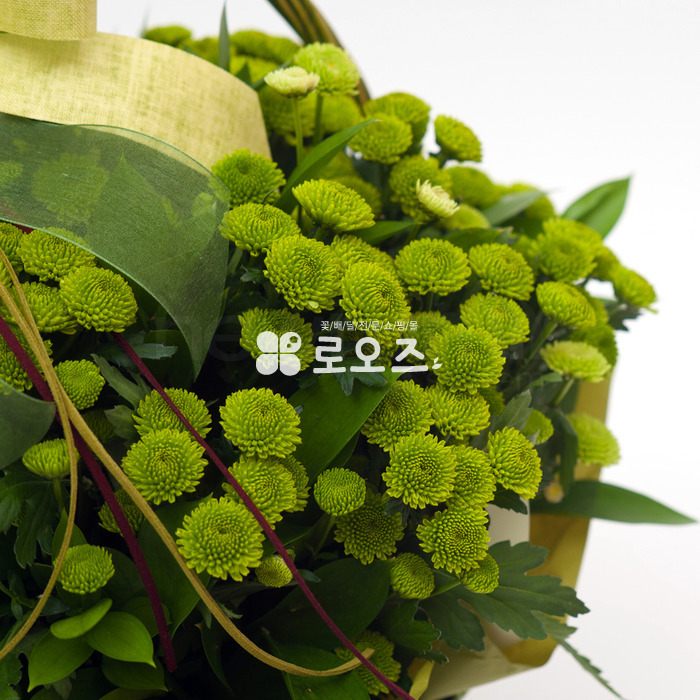 상세이미지