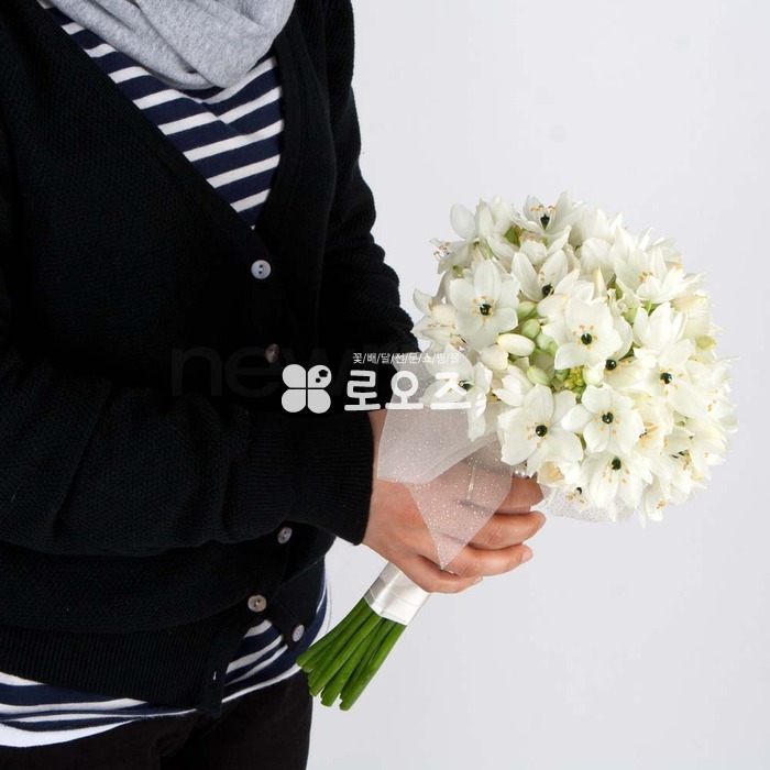 상세이미지