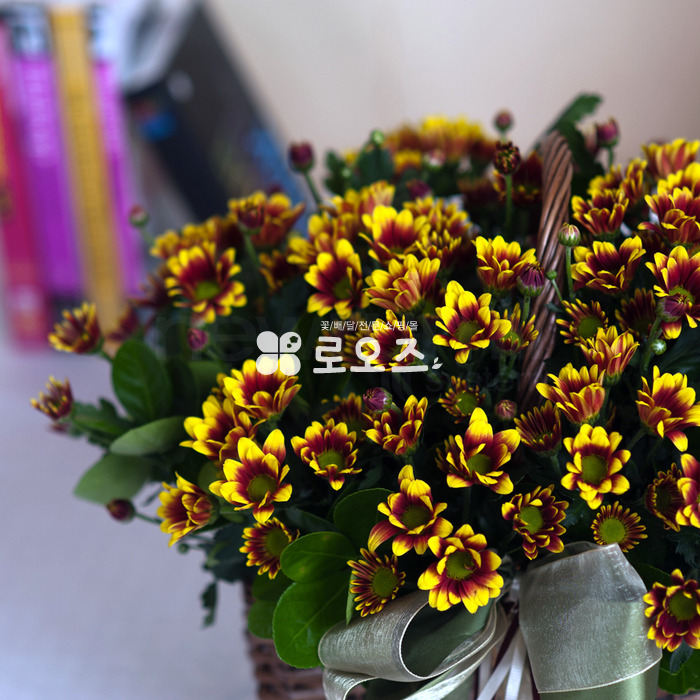 상세이미지