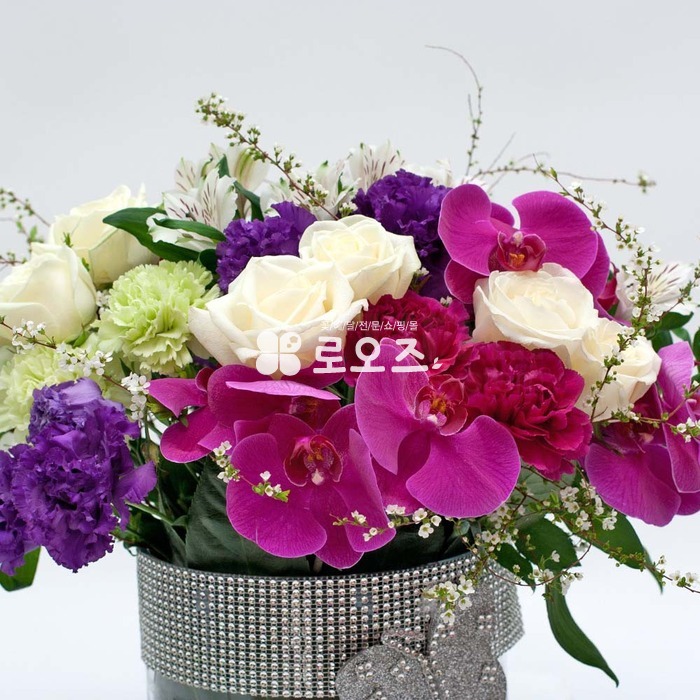 상세이미지