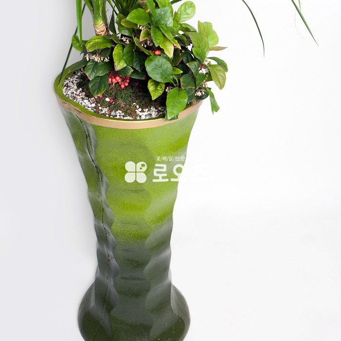상세이미지