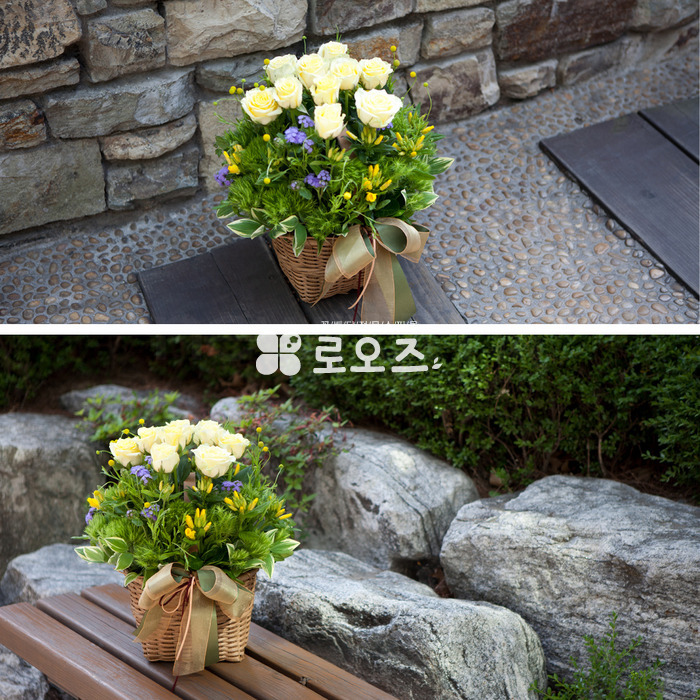 상세이미지