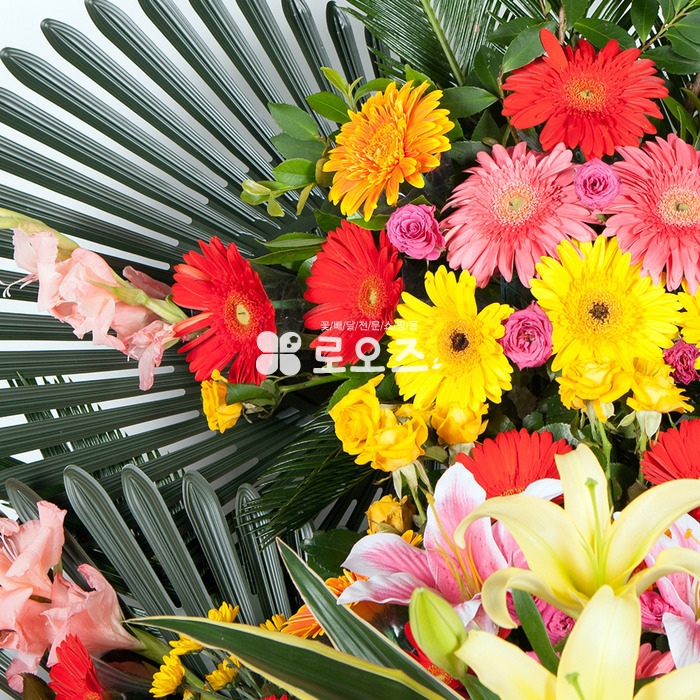 상세이미지