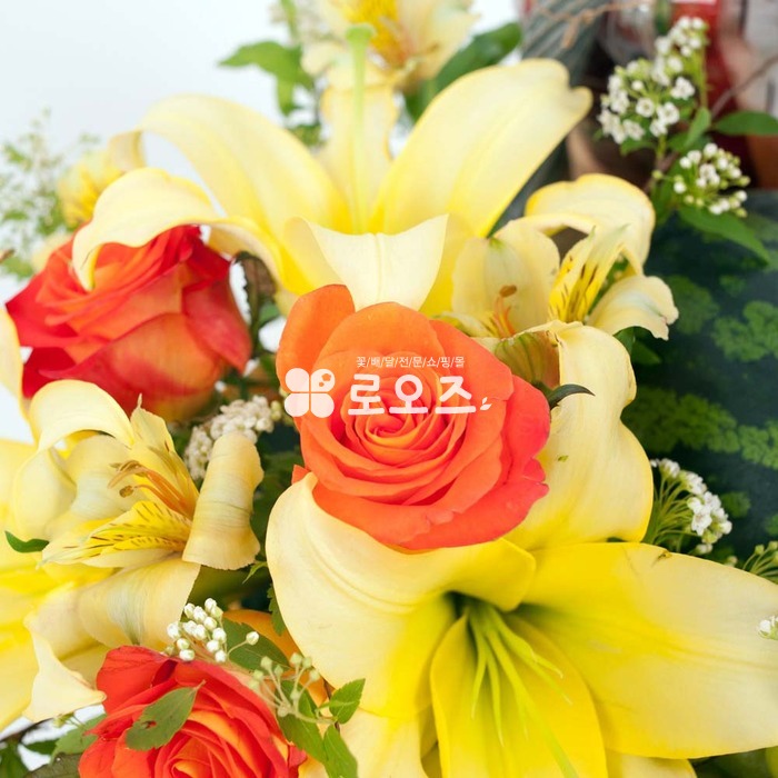 상세이미지