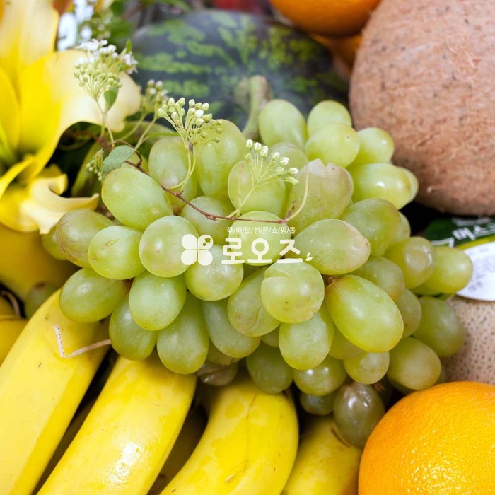상세이미지