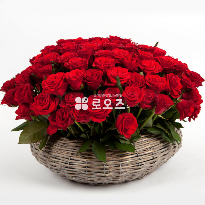 상세이미지