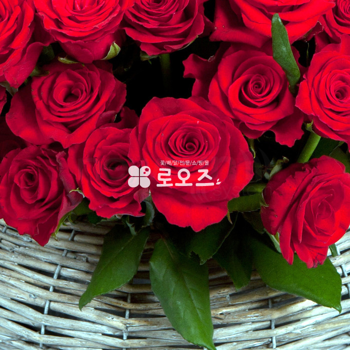 상세이미지