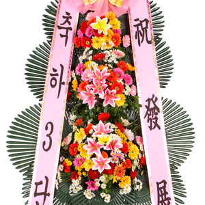 축하3단( 기본)