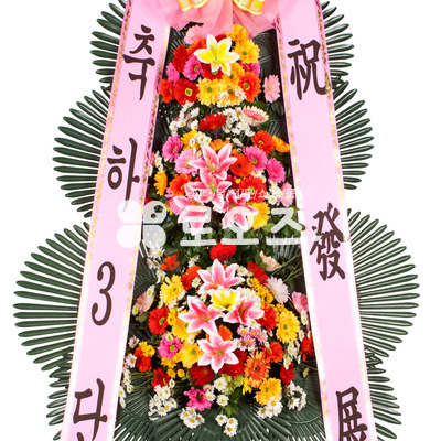 축하3단( 기본)