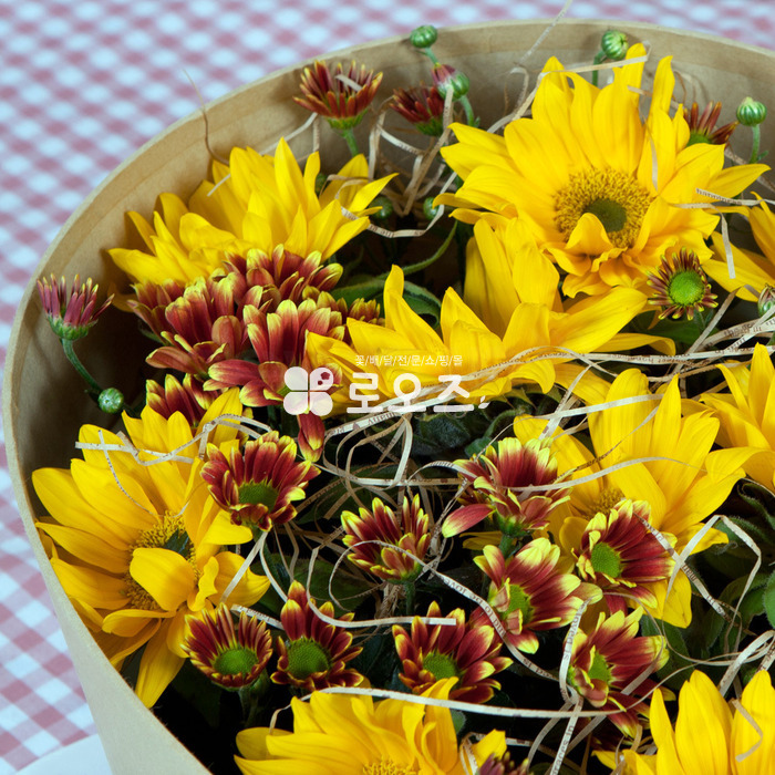 상세이미지