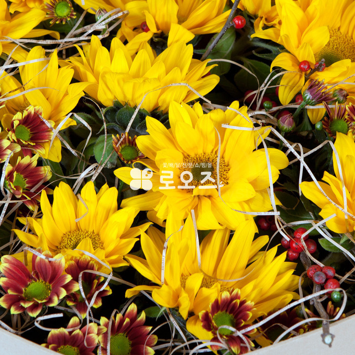 상세이미지