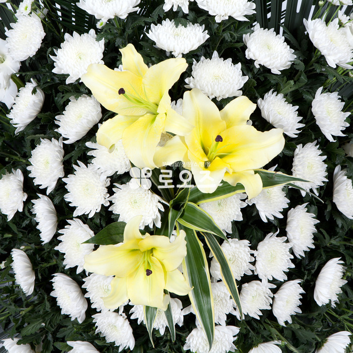 상세이미지