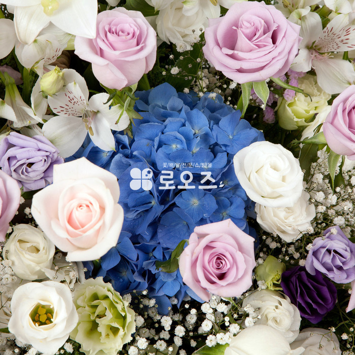 상세이미지