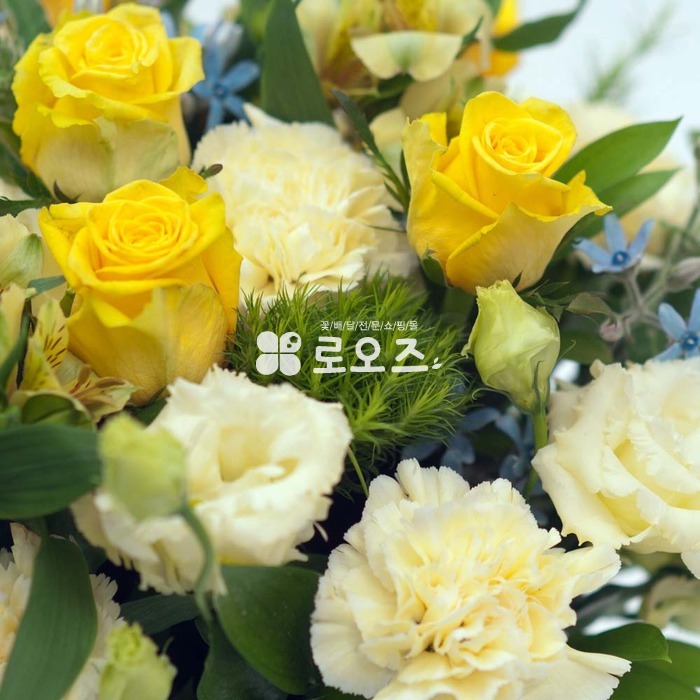 상세이미지