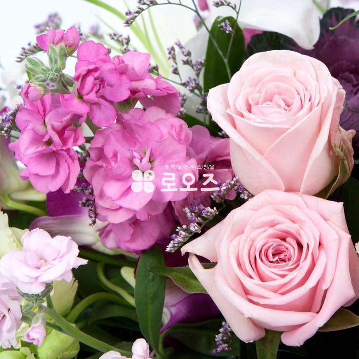 상세이미지