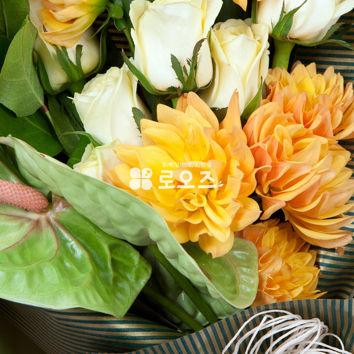 상세이미지