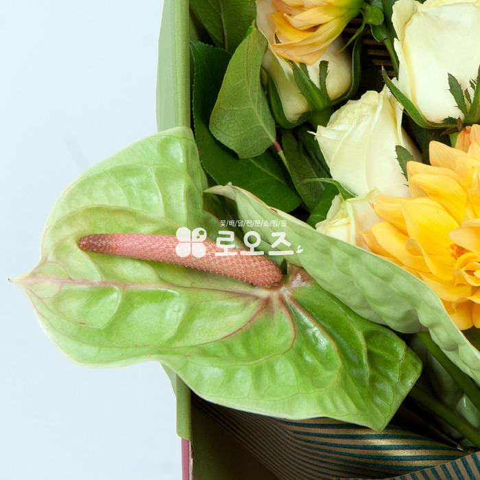 상세이미지