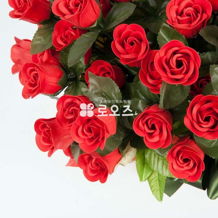 상세이미지
