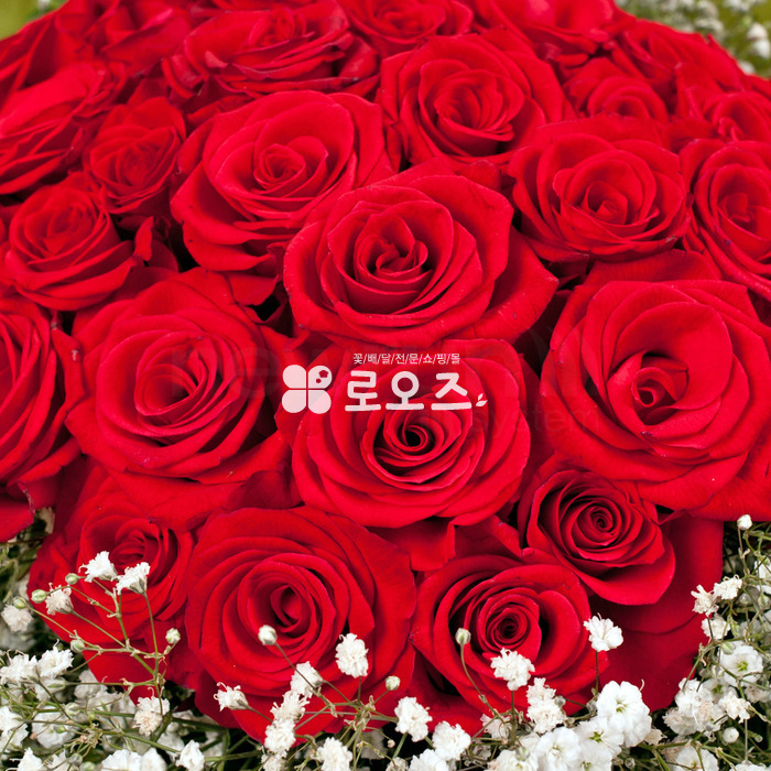 상세이미지