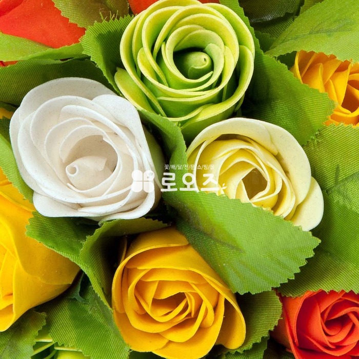 상세이미지