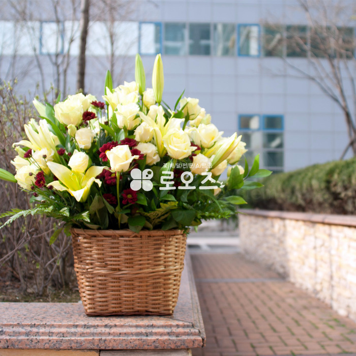 상세이미지