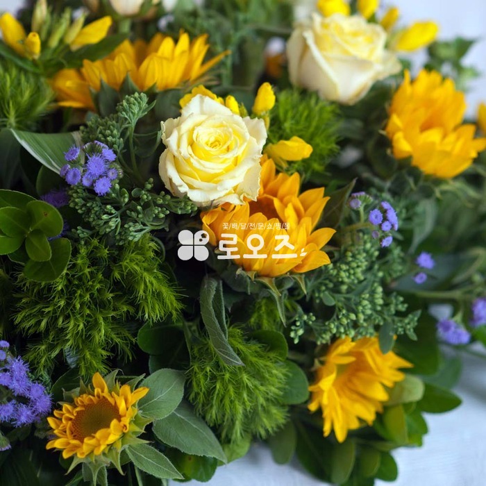 상세이미지
