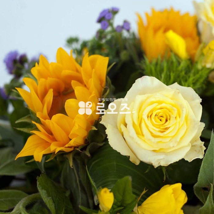 상세이미지