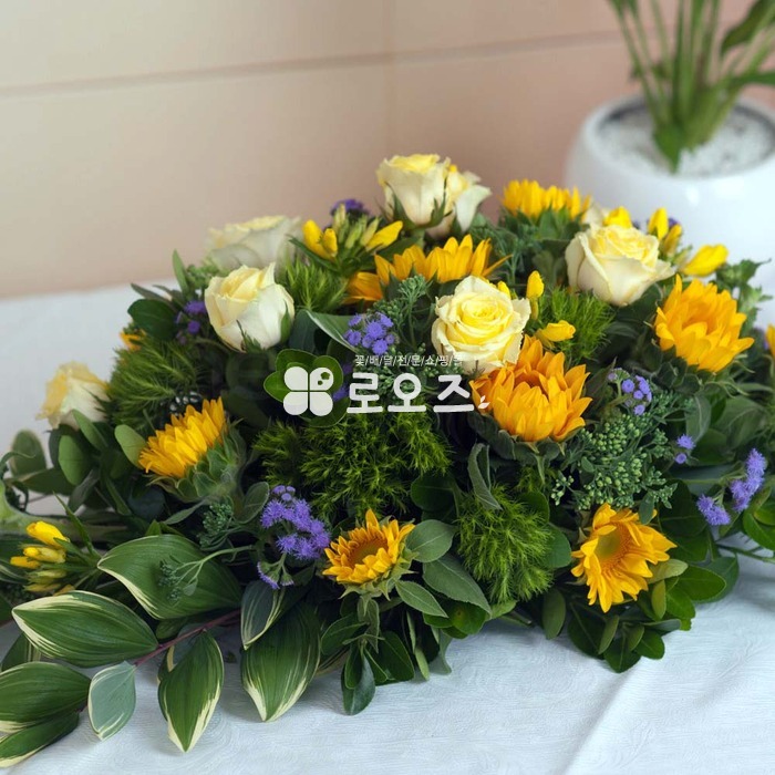 상세이미지