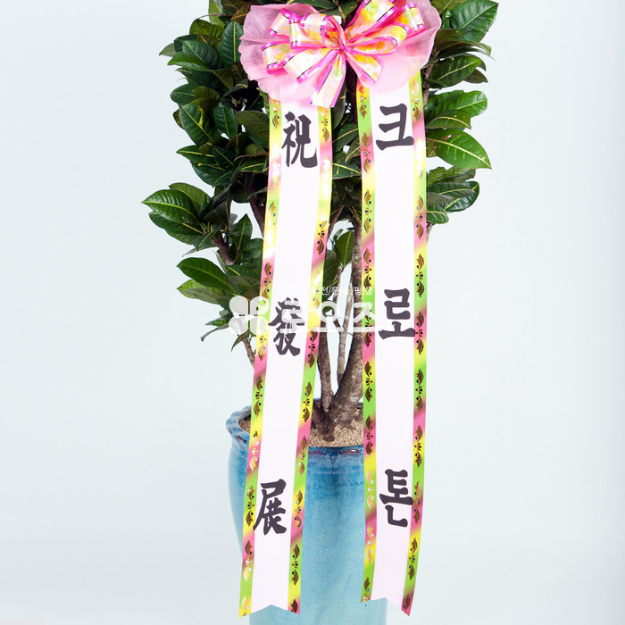 상세이미지