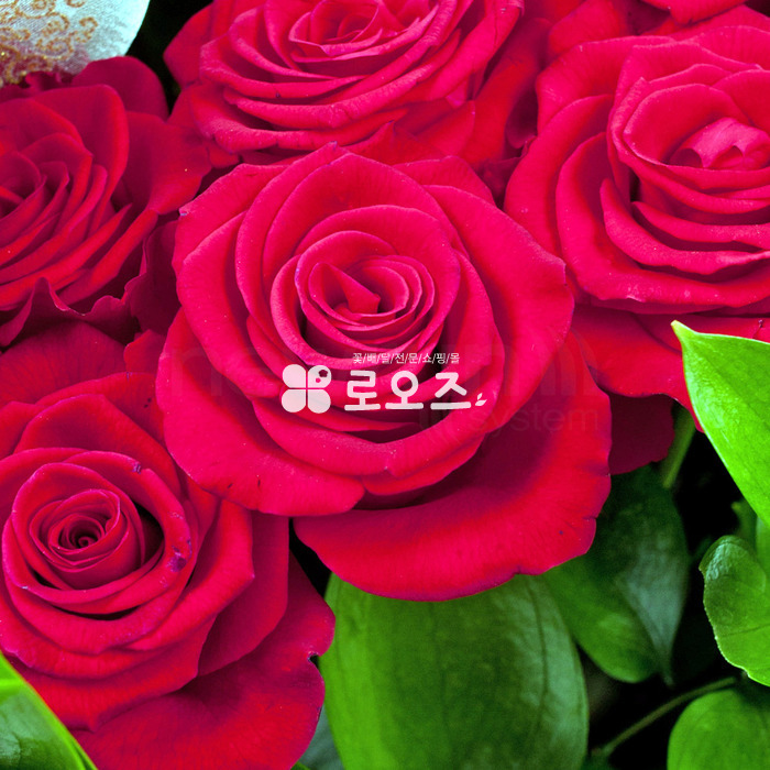 상세이미지