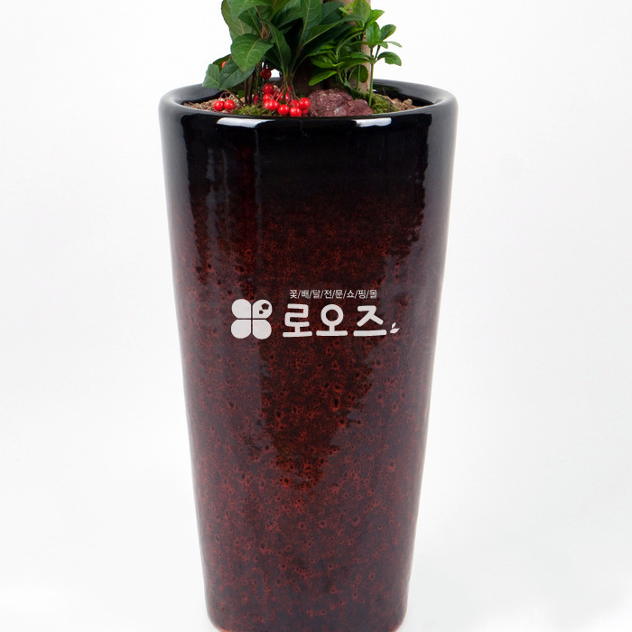 상세이미지