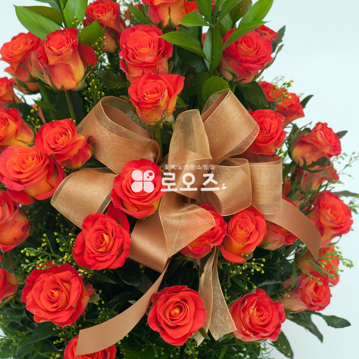 상세이미지
