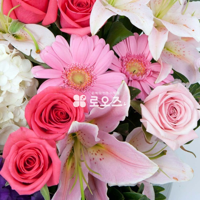 상세이미지